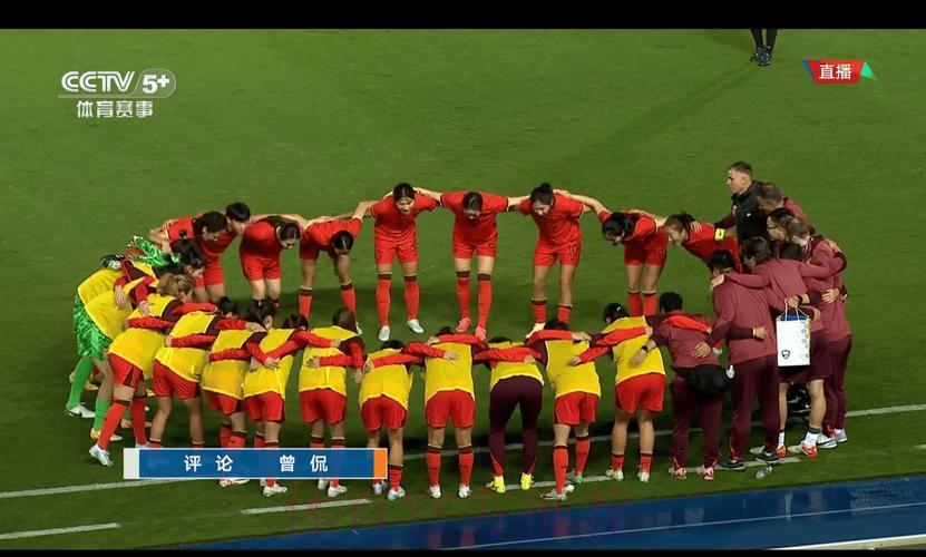 2008年世界杯足球赛现场直播