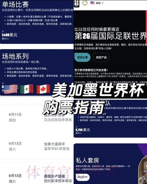 世界杯竞猜购球全攻略，新手避坑必看指南