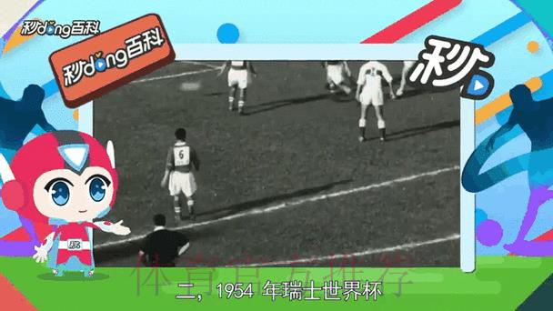 深度剖析世界杯赛事比分动态与核心要素解析