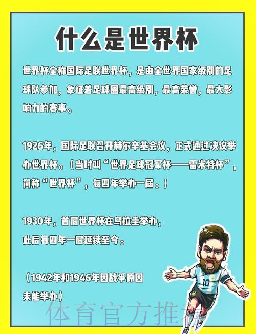 全面剖析世界杯赛事精华