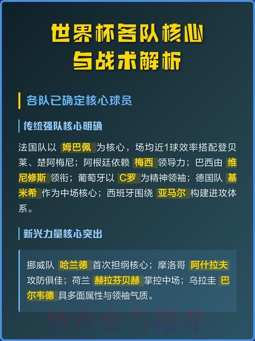 世界杯各队战术打法深度解读